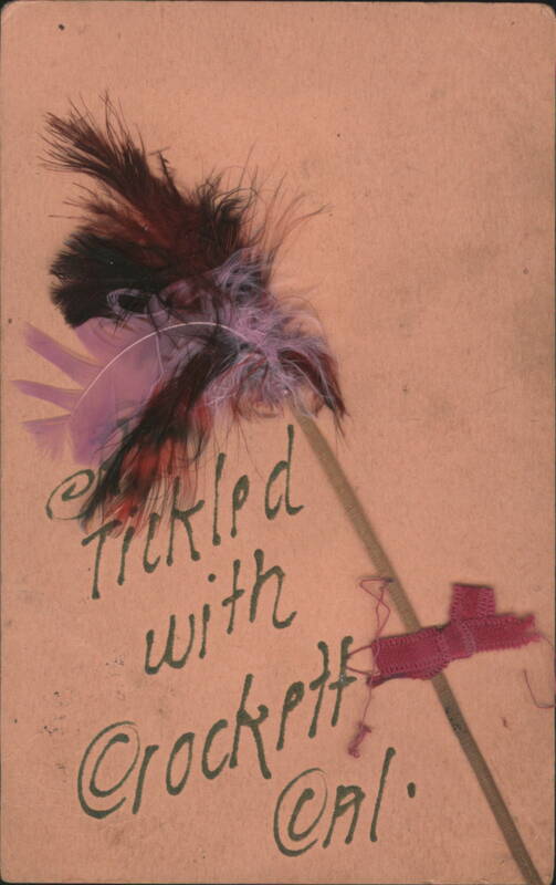 Feather Duster Novelty: Tickled with Crockett, CA California