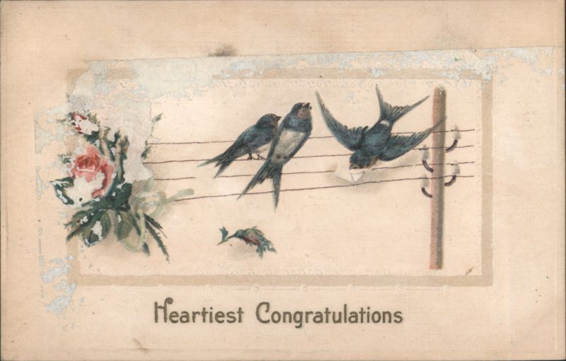 Swallows & Roses with Heartiest Congratulations, 1917 Birthday Greeting