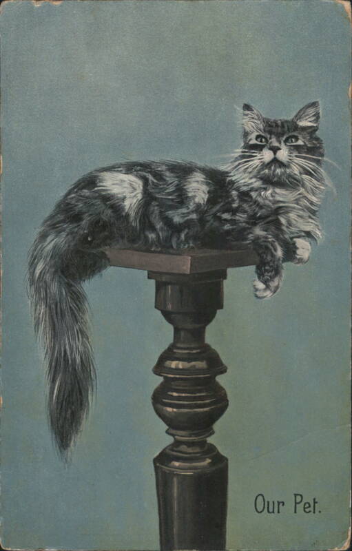 Our Pet Long-Haired Cat on Pedestal, Hand-Colored