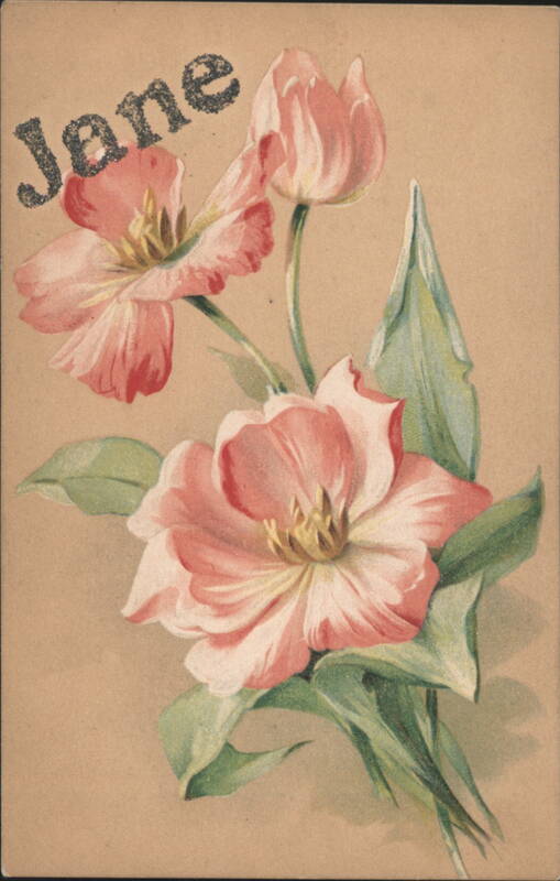 Jane Name on Pink Flowers Bouquet Illustration