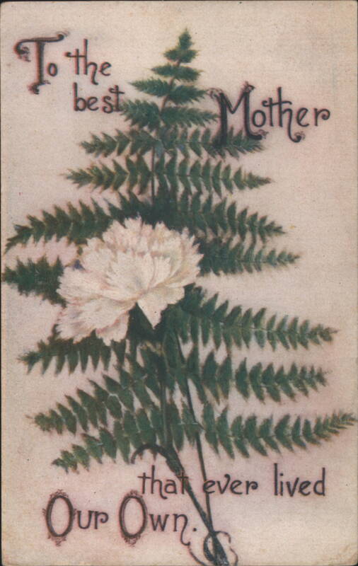 To the Best Mother Carnation & Fern Greeting To My Dear...