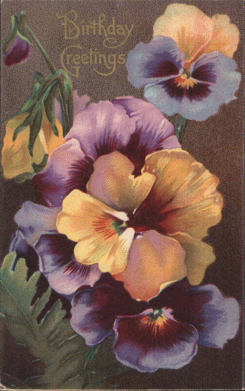 Birthday Greetings Pansies Bouquet Floral Illustration