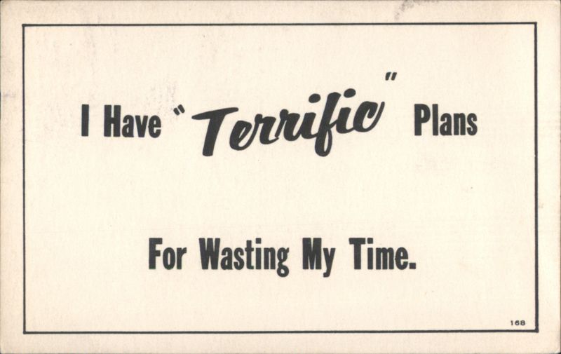 I Have Terrific Plans For Wasting My Time Humorous Saying