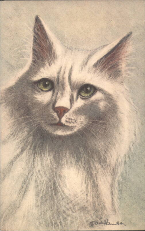 White Cat with Green Eyes by Fred Lanta Cats