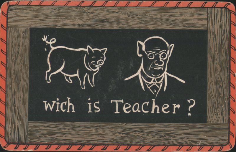 Comic Pig & Caricatured Man on Blackboard 'Wich is Teacher?'