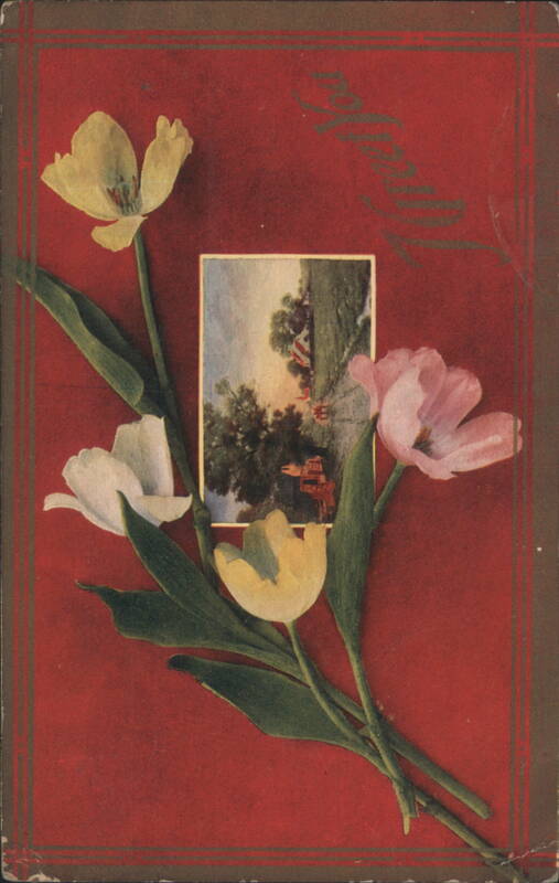 Colorful Tulips with Rural Landscape Inset on Red Background