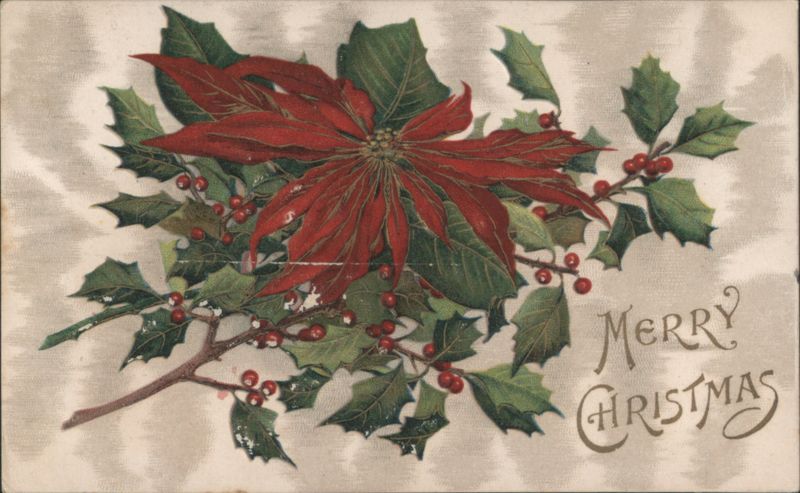 Poinsettia and Holly with Berries, Merry Christmas Greeting