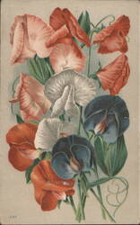 Sweet Pea Flowers Bouquet Illustration - Pink, Red, White, and Blue Postcard
