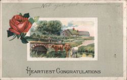 Heartiest Congratulations Rose & Pastoral Farm Scene, 'Not Yet But Soon' Postcard