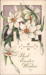 Best Easter Wishes with White Daffodils and Floral Border Postcard