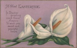 A Glad Eastertide Calla Lilies Greeting Poem Postcard