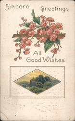 Sincere Greetings All Good Wishes, Pink Flowers & Landscape Scene Postcard