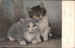 Two Kittens, Grey and Tabby, by W. Schwark (1901) Postcard