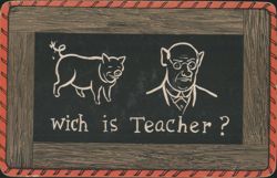 Comic Pig & Caricatured Man on Blackboard 'Wich is Teacher?' Postcard
