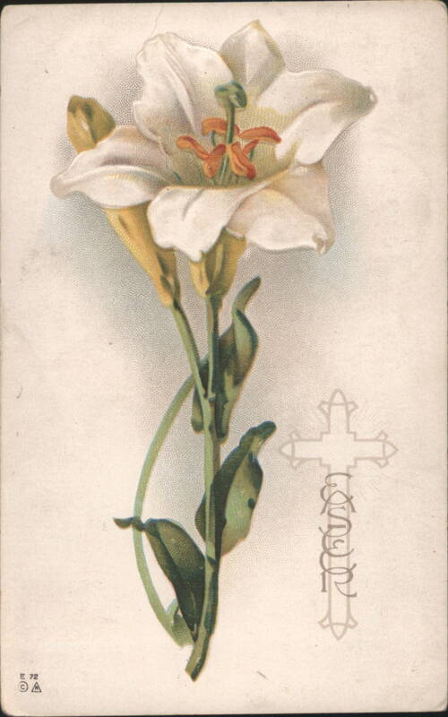 White Lily with Cross Outline, Easter Greeting Flowers