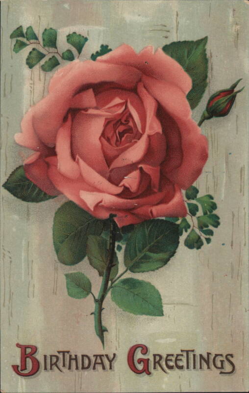 Pink Rose Birthday Greetings