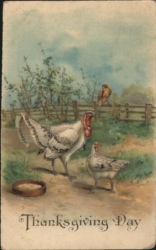 Thanksgiving Day Turkeys and Chicken Farm Scene, 1910