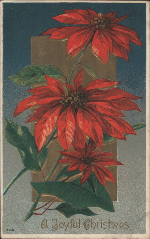 Poinsettias, A Joyful Christmas Greeting