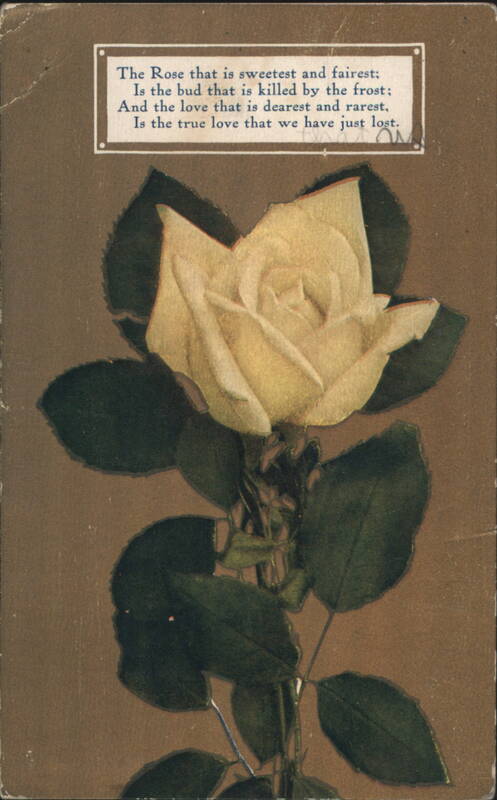 Yellow Rose with Sentimental Poem 'The Rose that is sweetest and fairest'