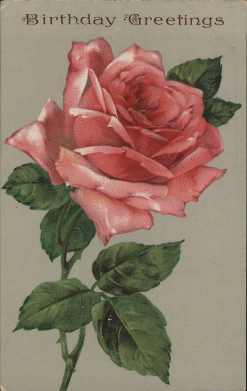 Birthday Greetings Pink Rose