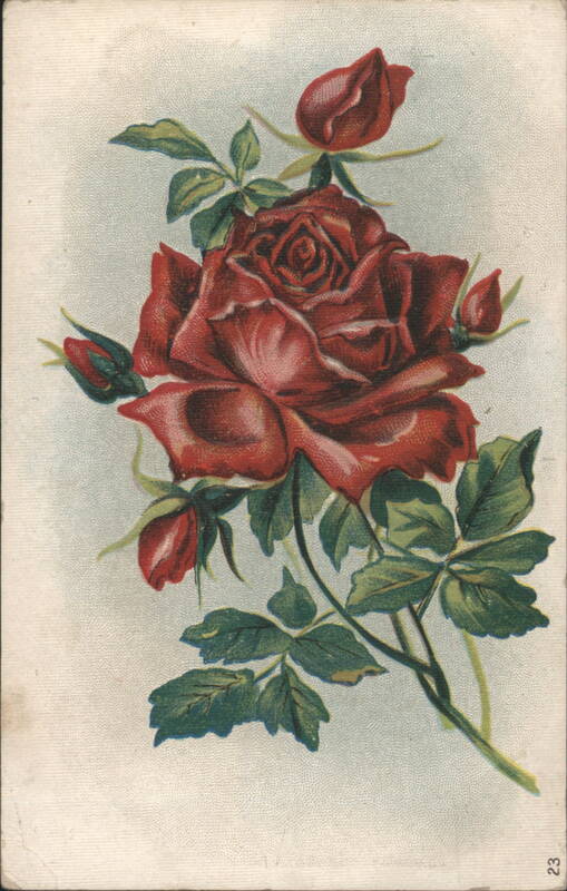 Red Roses Bouquet Floral Illustration Flowers