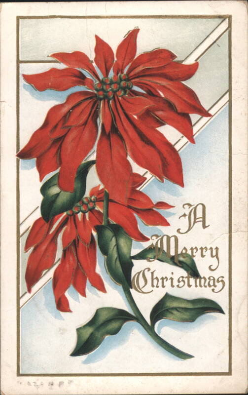 Poinsettias with 'A Merry Christmas' Greeting Flowers