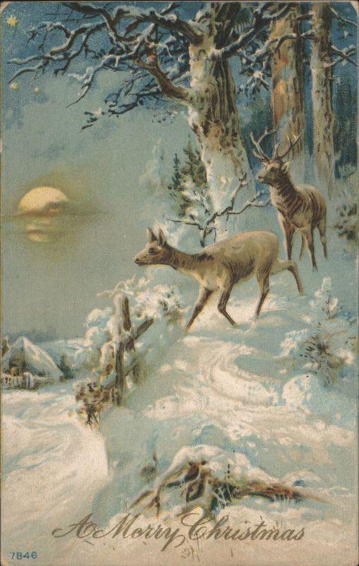 Deer in Snowy Forest with Moon, A Merry Christmas