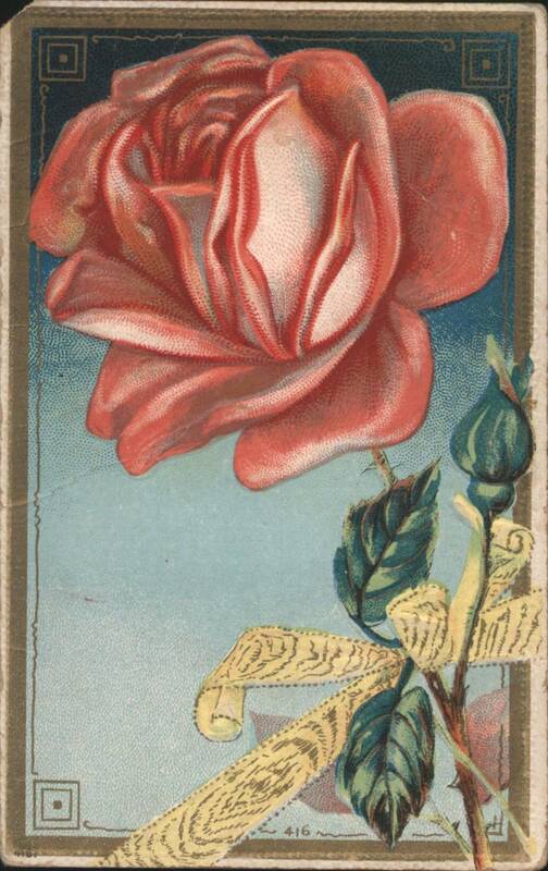 Red Rose with Bud and Ribbon, Mount Victoria OH Postmark
