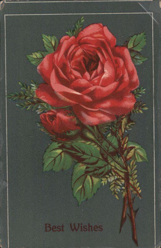 Red Roses Best Wishes Greeting Card Flowers