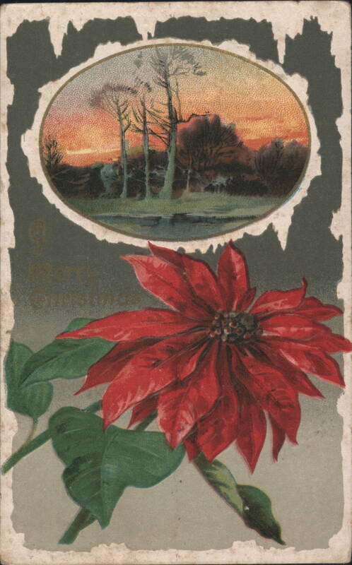 Red Poinsettia with Winter Sunset Landscape, Merry Christmas