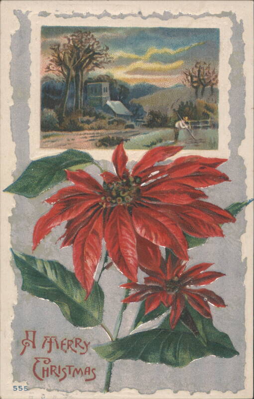 Poinsettias & Winter Landscape, A Merry Christmas