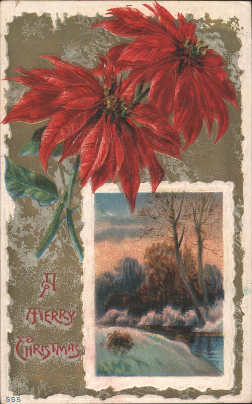 Poinsettias and Winter Landscape with A Merry Christmas Greeting