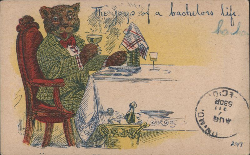 Dressed Bear Enjoying Bachelor's Life, Drinking Champagne, Comic