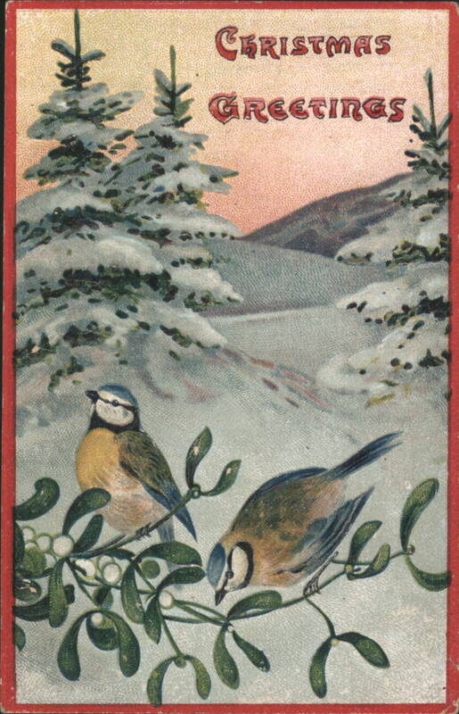 Christmas Greetings, Birds on Mistletoe in Snowy Landscape