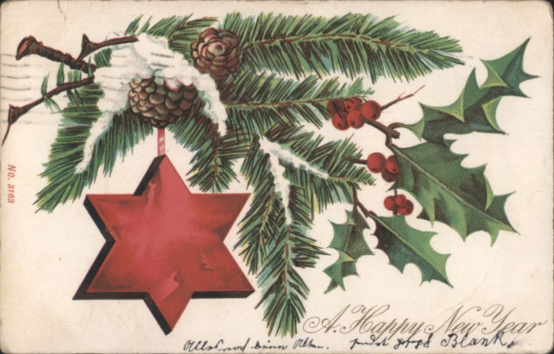 New Year's Evergreen Branch, Holly, Red Star Ornament, Snow