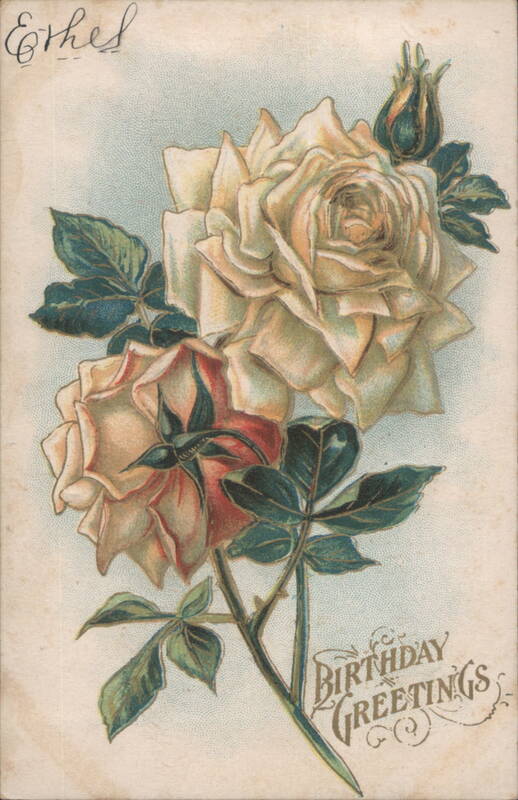 Birthday Greetings with Two Large Roses and Green Leaves