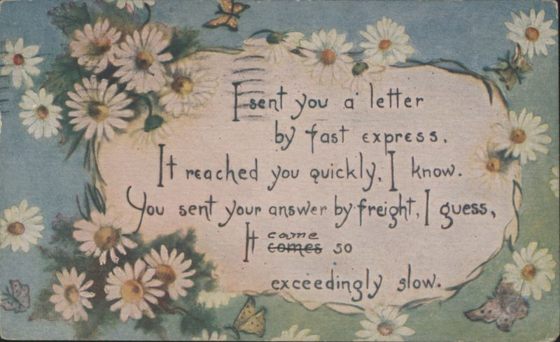 Comic Poem on Slow Mail with Daisies and Butterflies