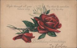 Birthday Greetings with Red and White Roses for Lola Postcard