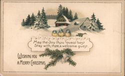 Christmas Greeting with Blue Birds, Snow, and Houses Postcard