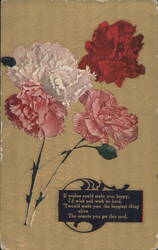 Carnation Flowers with Sentimental Greeting, Moundridge, KS 1909 Postcard