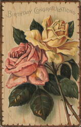Birthday Congratulations with Pink and Yellow Roses Postcard