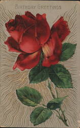 Birthday Greetings Red Rose Gold Wavy Lines Postcard
