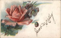 Pink Rose Floral with Jacob M. Kelly Signature Postcard