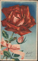 Red Rose with Pink Ribbon and Best Wishes Greeting Postcard