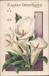 Easter Greetings with White Calla Lilies Postcard