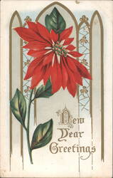 Red Poinsettia Flower New Year Greetings Postcard