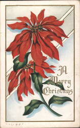 Poinsettias with 'A Merry Christmas' Greeting Postcard