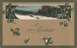 A merry Christmas! Winter Landscape with Holly & Berries Postcard
