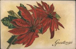 Red Poinsettias with 'Greetings' Text Postcard