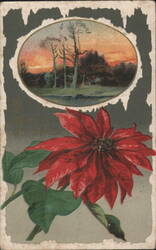 Red Poinsettia with Winter Sunset Landscape, Merry Christmas Postcard